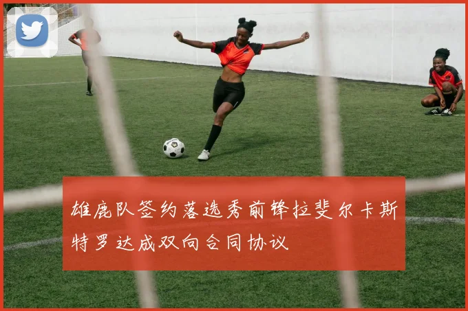 雄鹿队签约落选秀前锋拉斐尔卡斯特罗达成双向合同协议